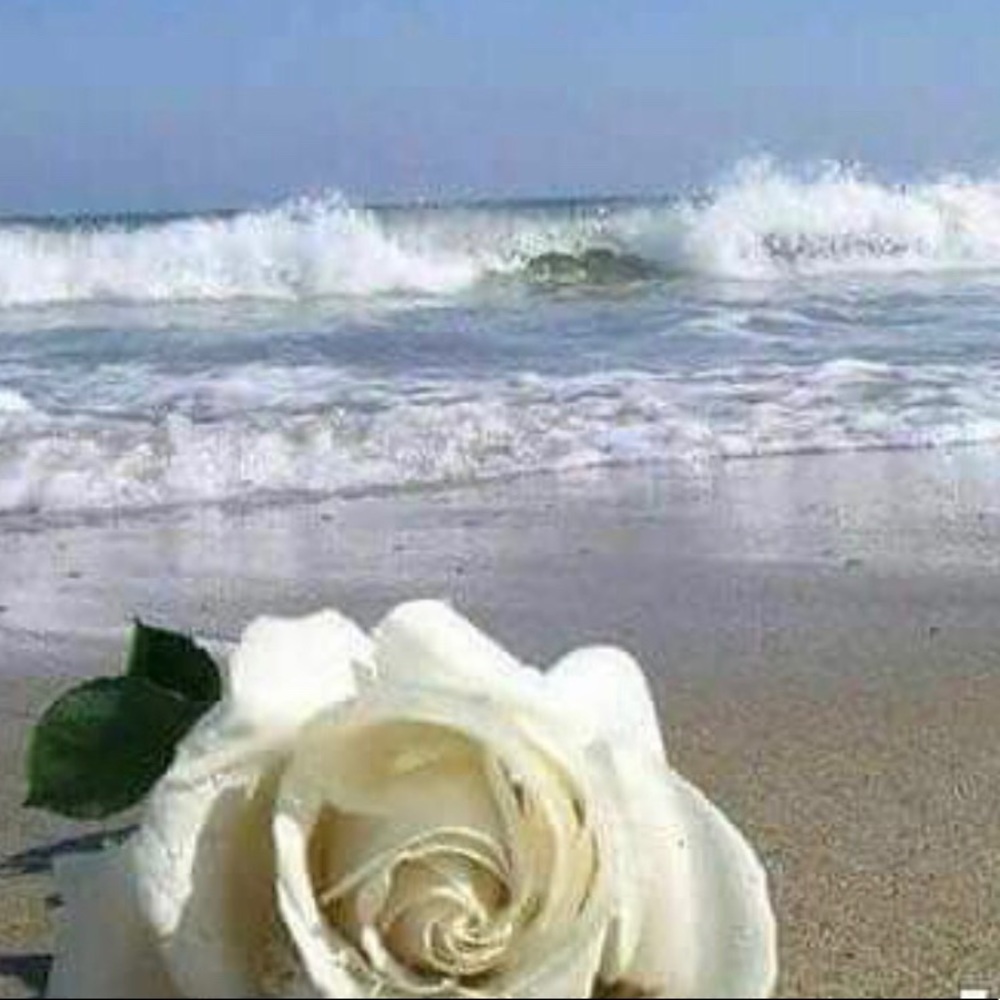 Meet your Posher, Lara